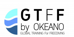 Logótipo de Plataforma de Formação e Treino GTFF
