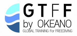 Plataforma de Formação e Treino GTFF